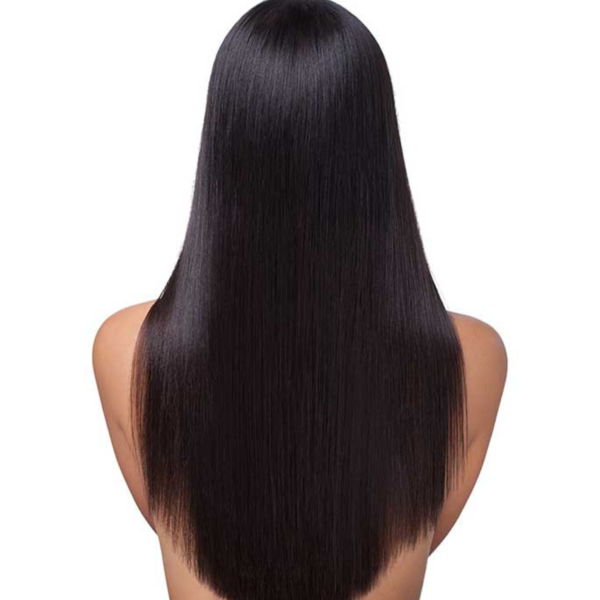 Jet Black Human Hair wig